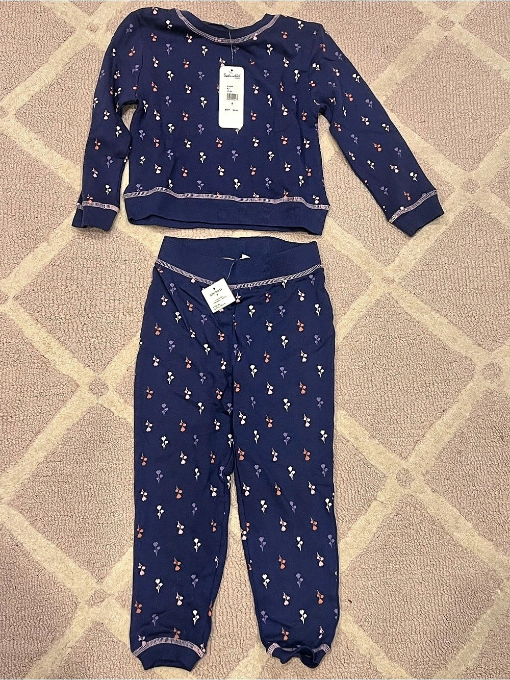 Splendid Floral Tracksuit Set in Blue & Pink